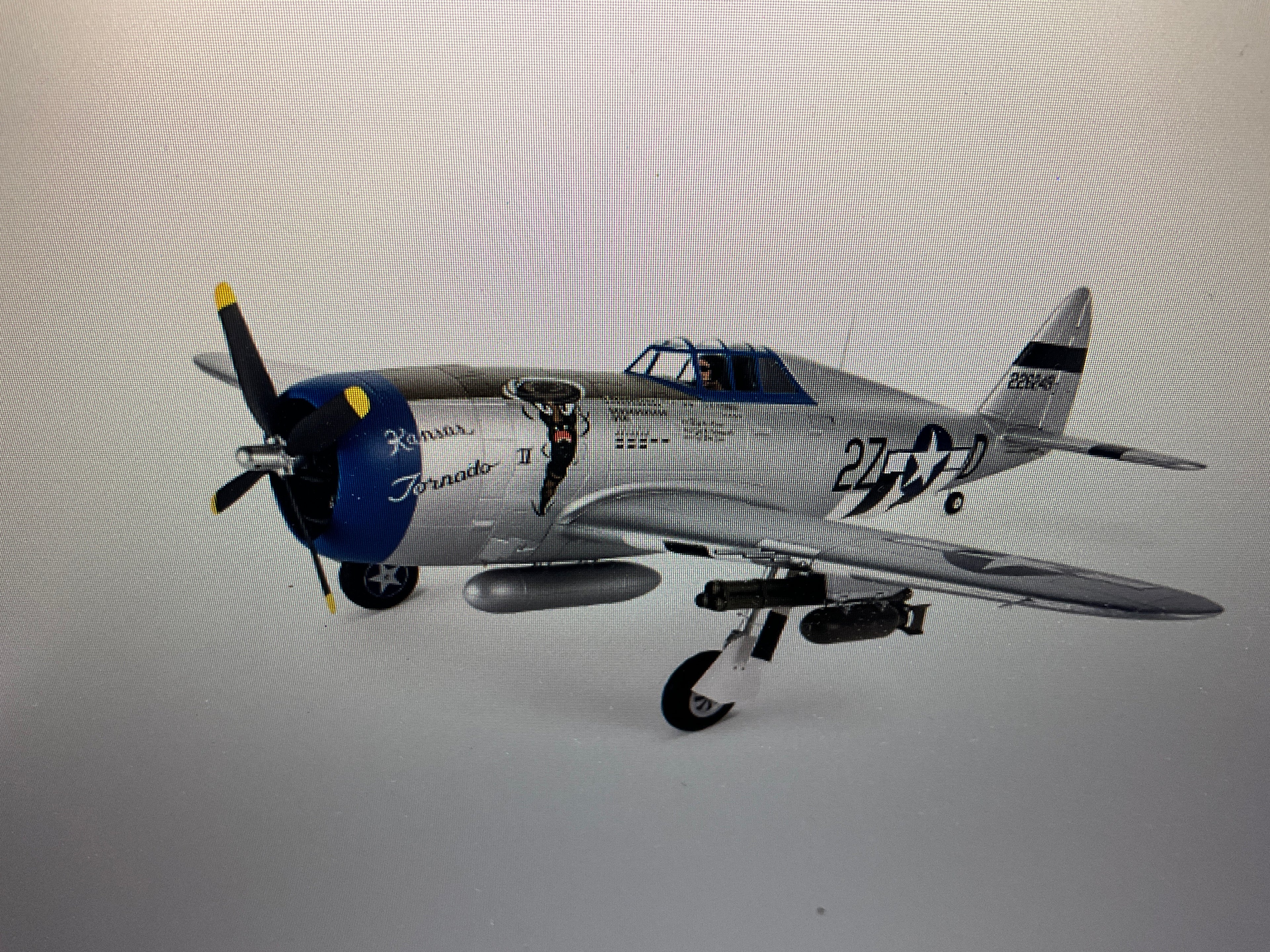 EFLITE P-47 Razorback 1.2m BNF Basic with AS3X & SAFE Select
