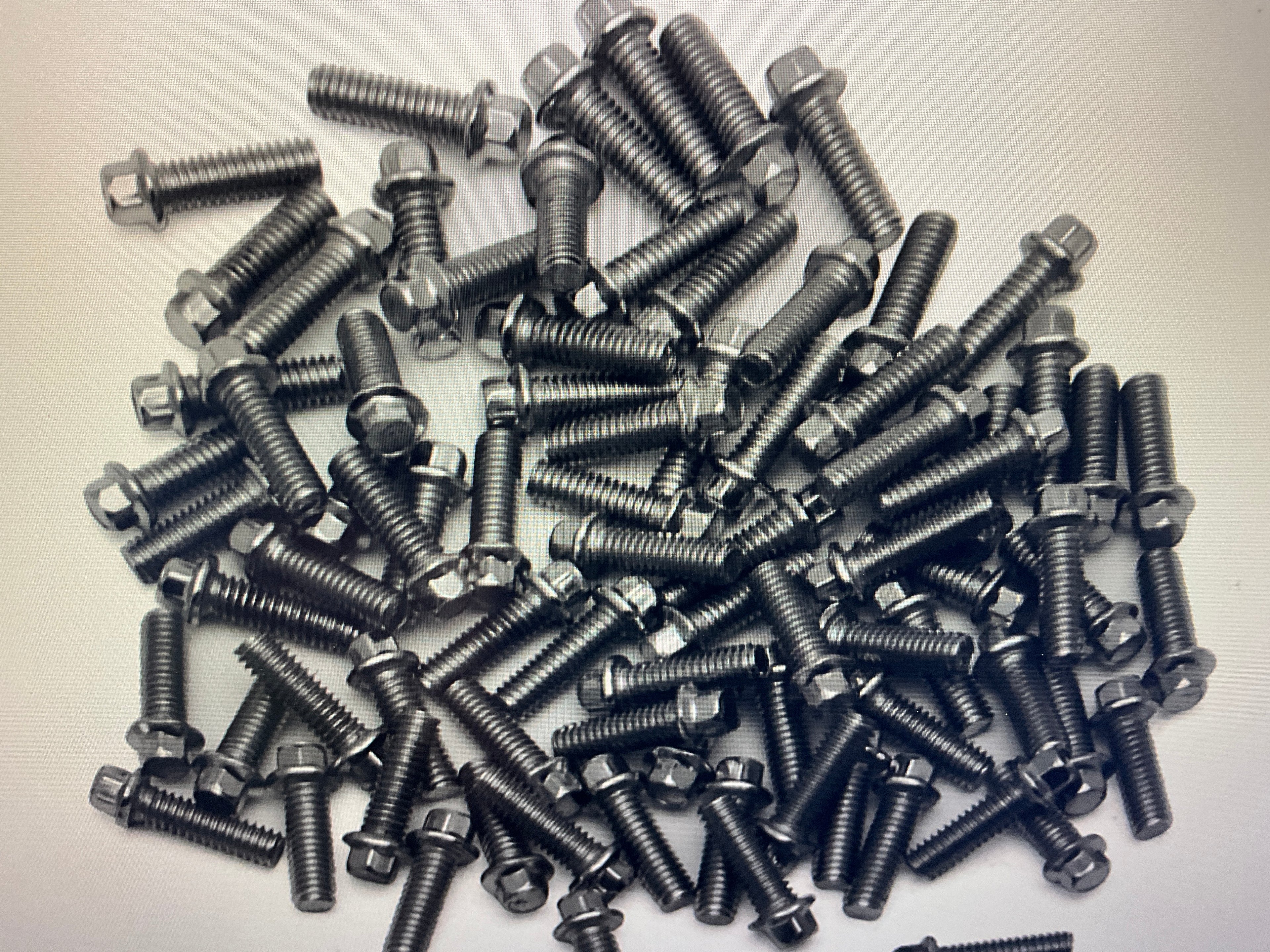 Treal Hobby 1.9" Beadlock Screws (Silver) (100)