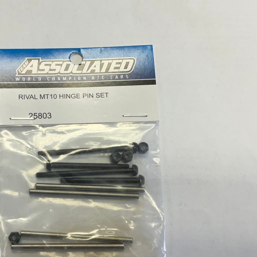 Team Associated Rival MT10 Hinge Pin Set