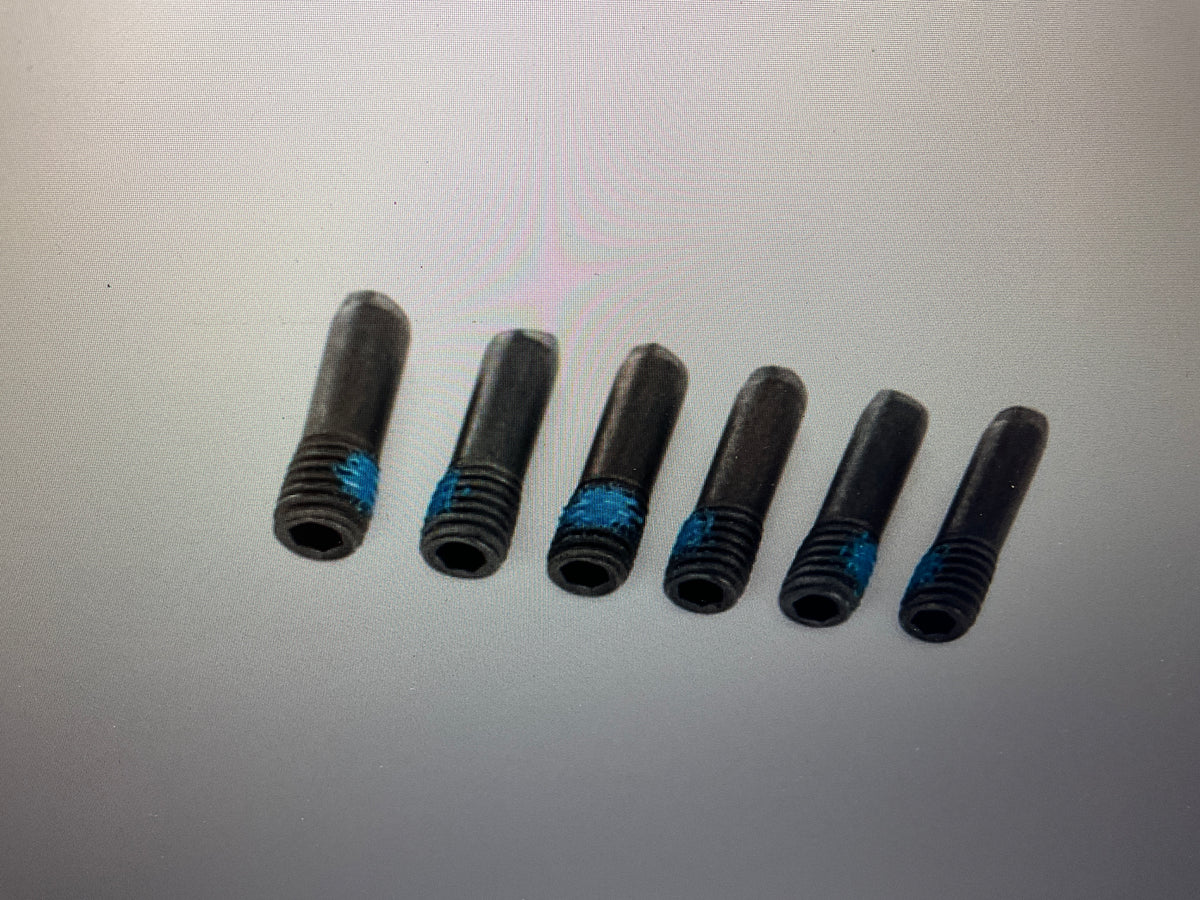 Screw Pins 3x10 mm (6)